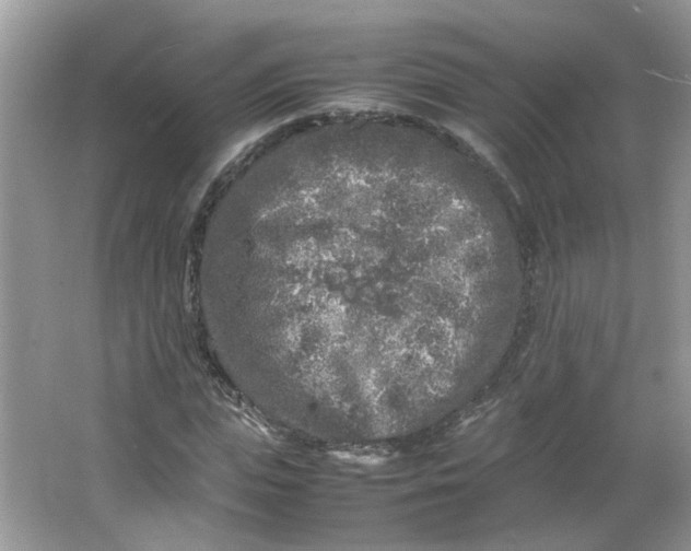 X0000066100823200603241516