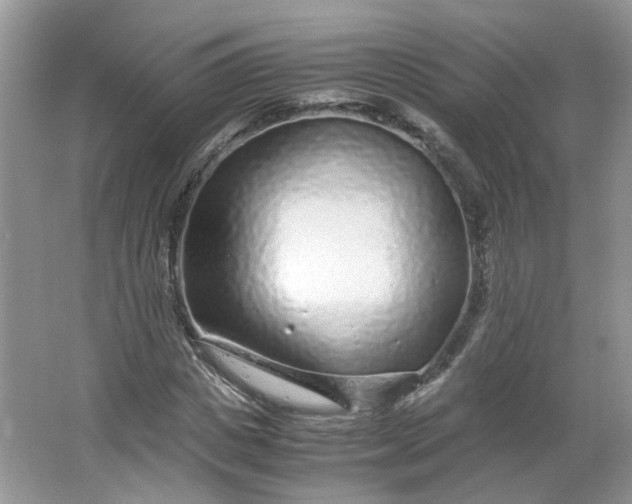 X0000066100825200603241516