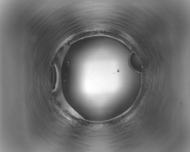 X0000066100826200603241516