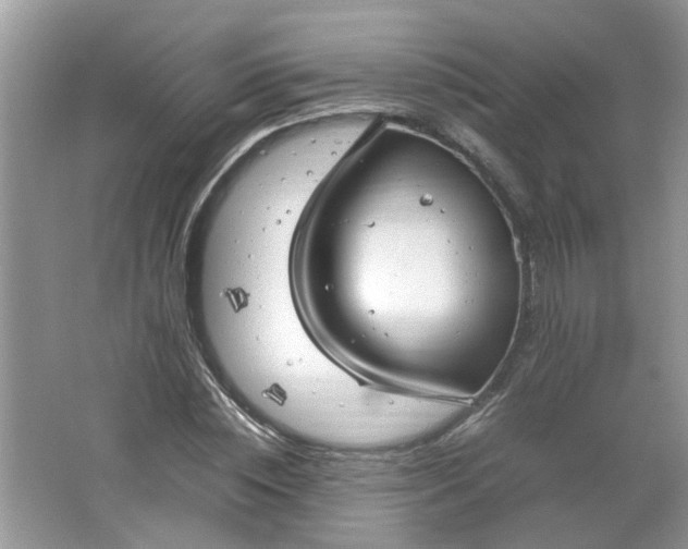 X0000066100828200603241516