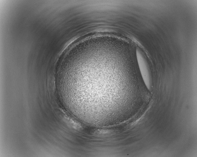 X0000066100829200603241516