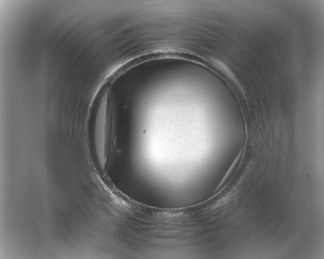 X0000066100831200603241516