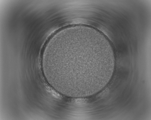 X0000066100832200603241516