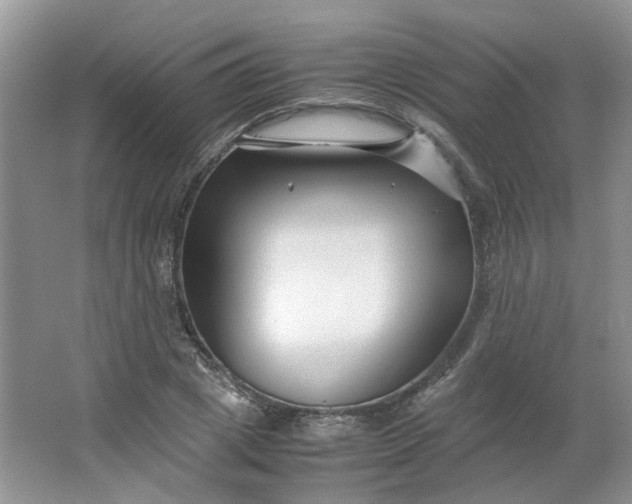 X0000066100833200603241516