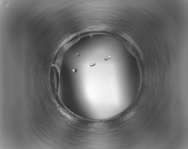 X0000066100834200603241516