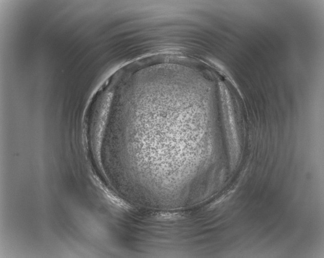 X0000066100835200603241516