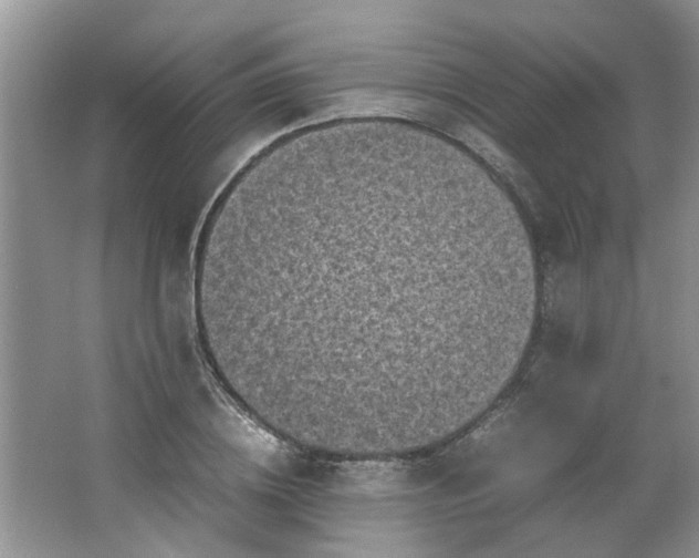 X0000066100836200603241516