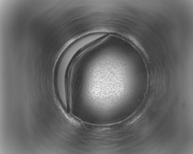 X0000066100837200603241516