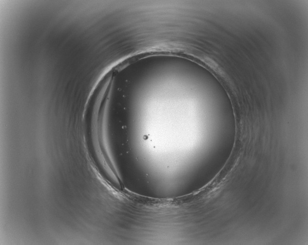 X0000066100838200603241516