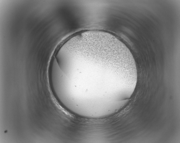 X0000066100840200603241516