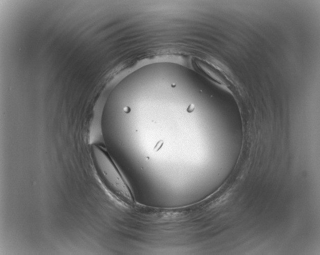 X0000066100841200603241516