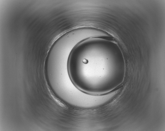 X0000066100842200603241516