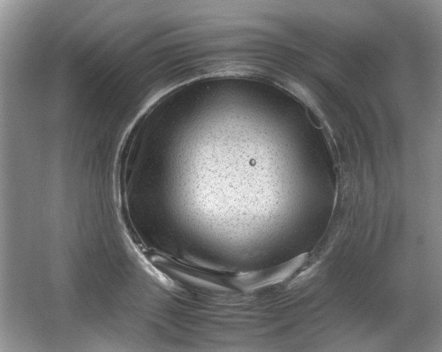 X0000066100843200603241516