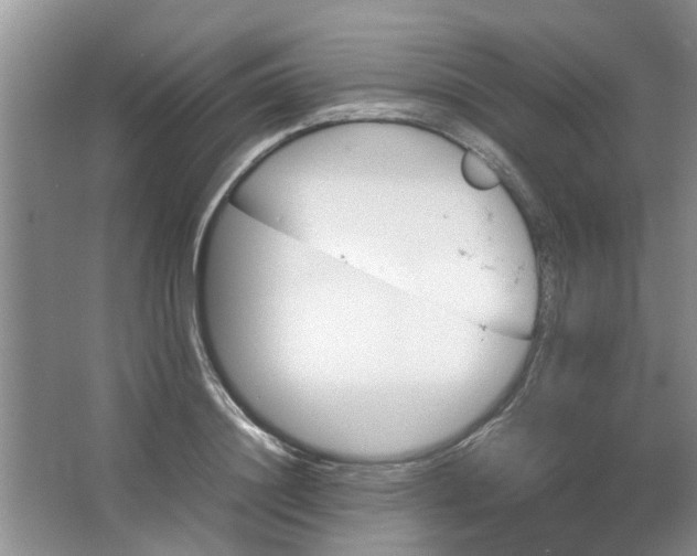 X0000066100844200603241516