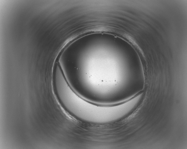 X0000066100845200603241516