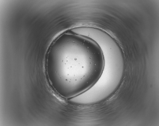 X0000066100846200603241516