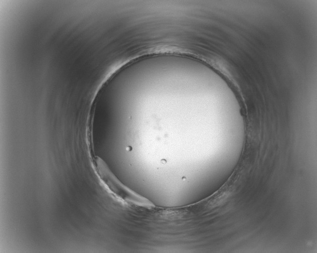 X0000066100847200603241516