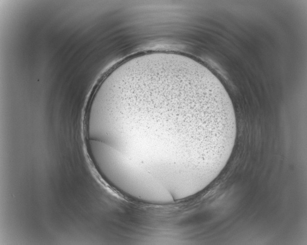 X0000066100848200603241516