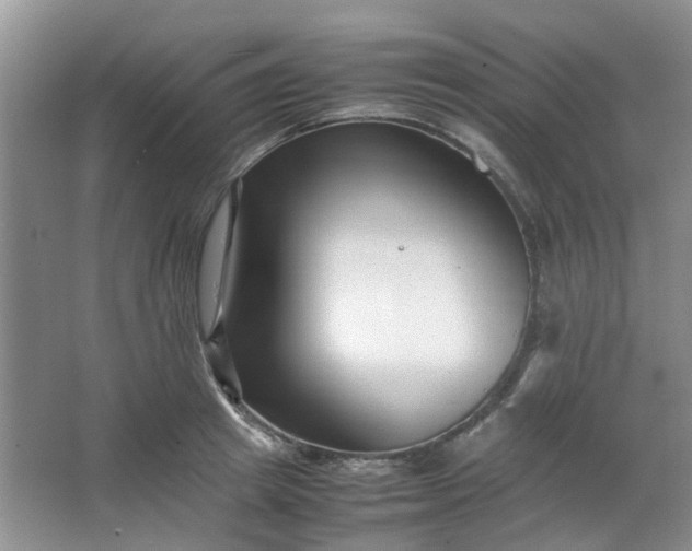 X0000066100849200603241516