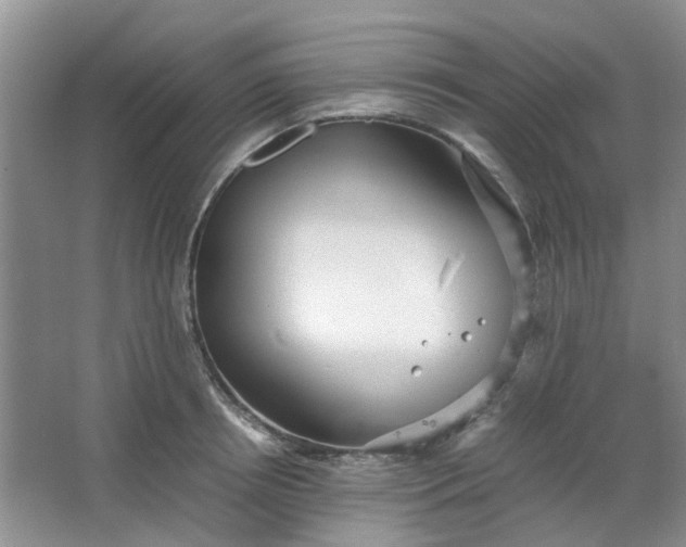 X0000066100850200603241516