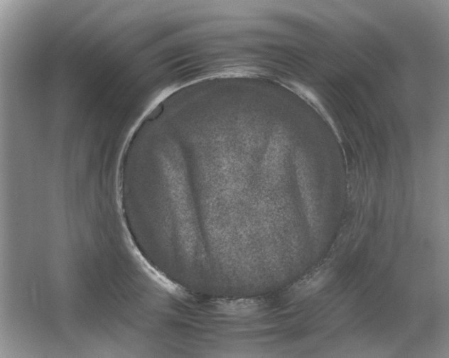 X0000066100851200603241516