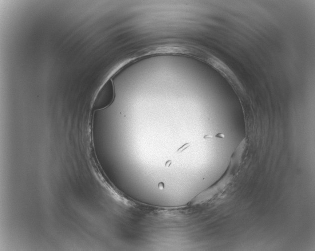 X0000066100852200603241516