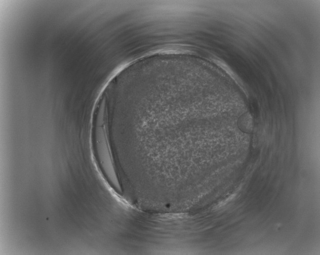 X0000066100853200603241516