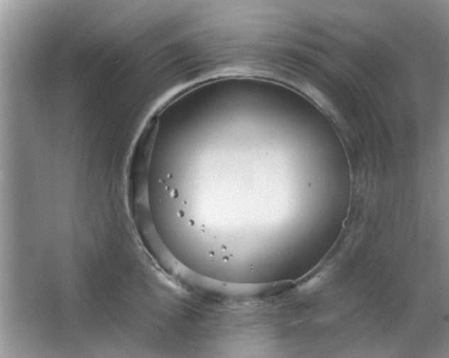 X0000066100854200603241516