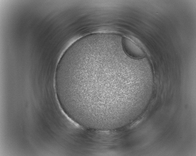 X0000066100855200603241516