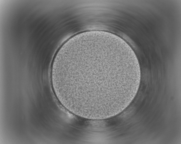 X0000066100856200603241516