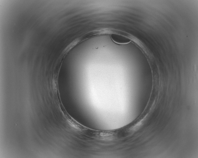 X0000066100857200603241516