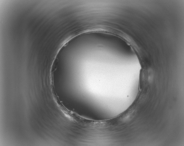 X0000066100858200603241516