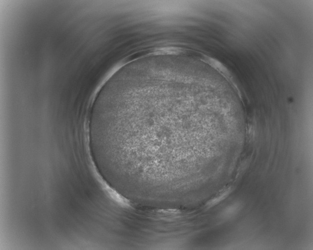 X0000066100859200603241516