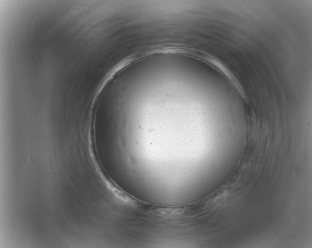 X0000066100861200603241516