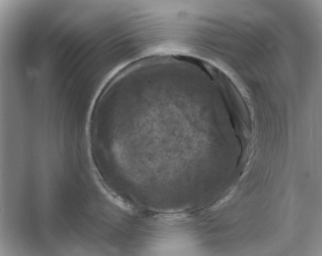 X0000066100864200603241516