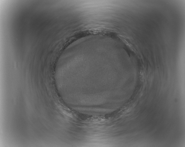 X0000066100865200603241516