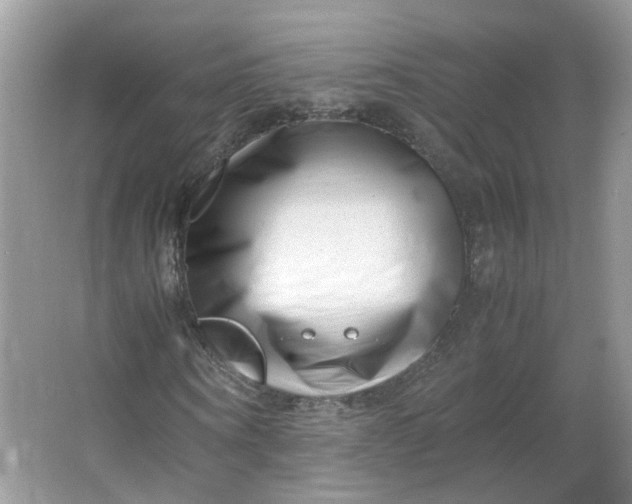 X0000066100866200603241516