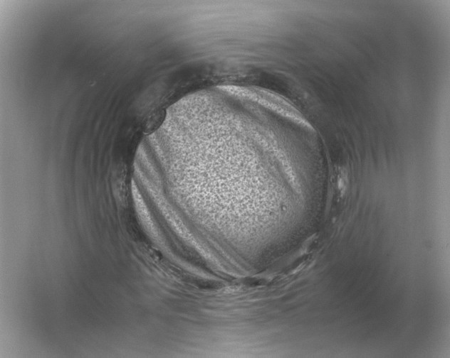 X0000066100867200603241515