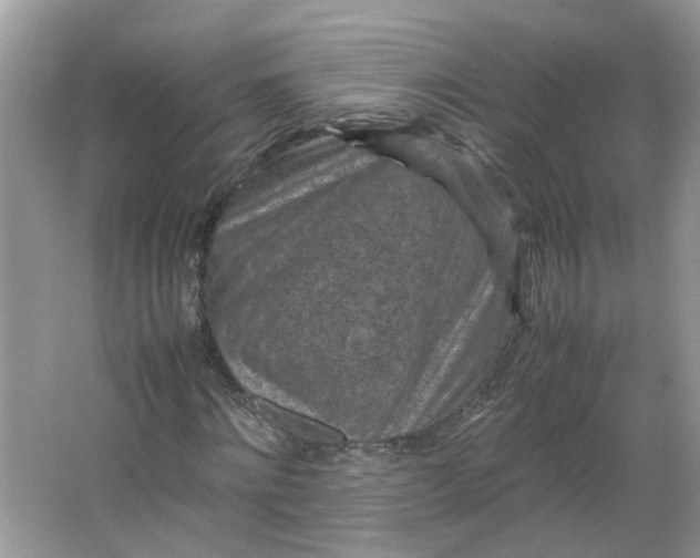 X0000066100868200603241515