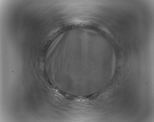 X0000066100869200603241515