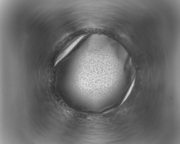 X0000066100870200603241515