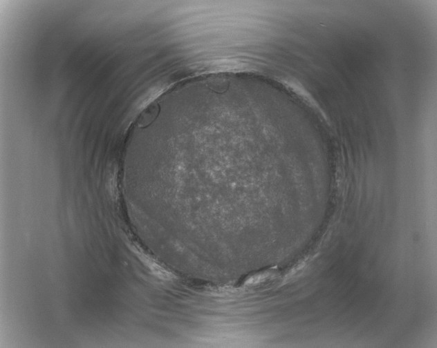 X0000066100873200603241515