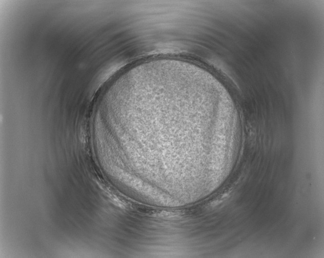 X0000066100874200603241515