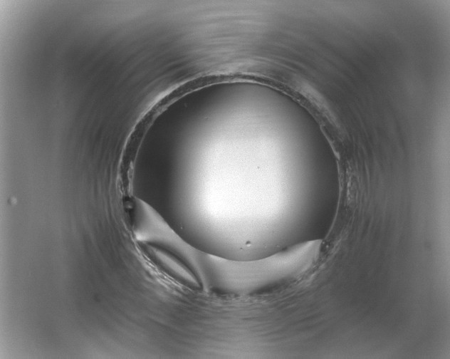 X0000066100876200603241515