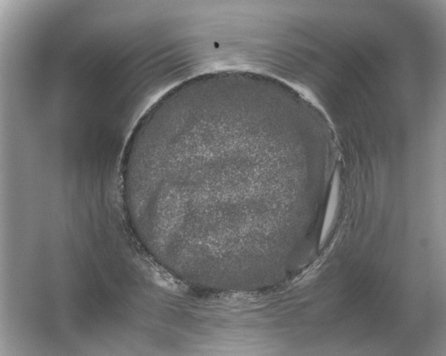 X0000066100879200603241515