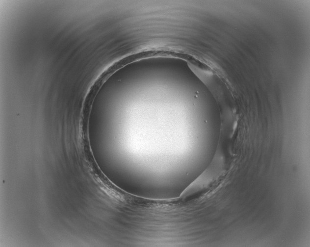 X0000066100880200603241515