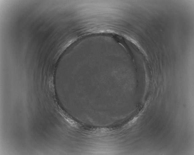 X0000066100881200603241515