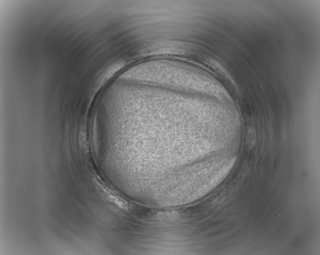 X0000066100882200603241515