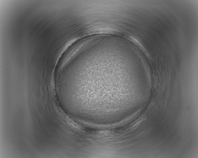 X0000066100883200603241515