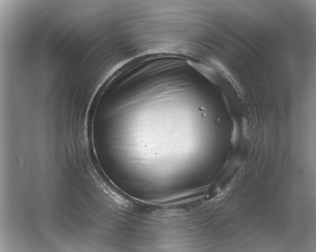 X0000066100884200603241515